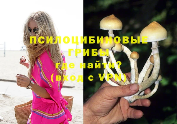 прущие крисы Россошь