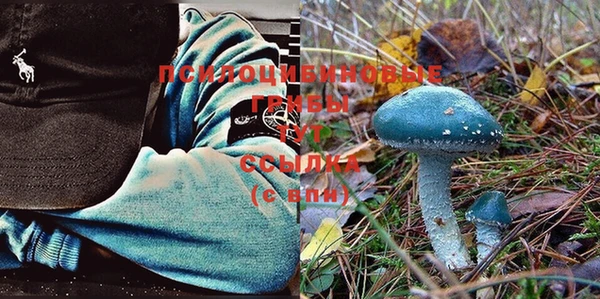 прущая мука Балабаново
